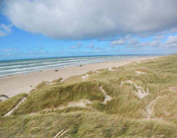 On the shores of the North Sea in Denmark
